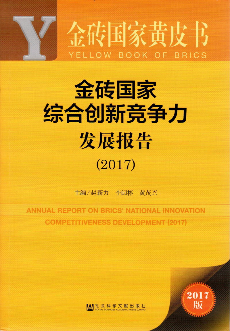 极品美女让我插操逼视频黄色视频金砖国家综合创新竞争力发展报告（2017）